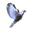 This dove does not need a bodyscan because she is in balance and harmony. Kudos to whoever created this magnificent piece of art